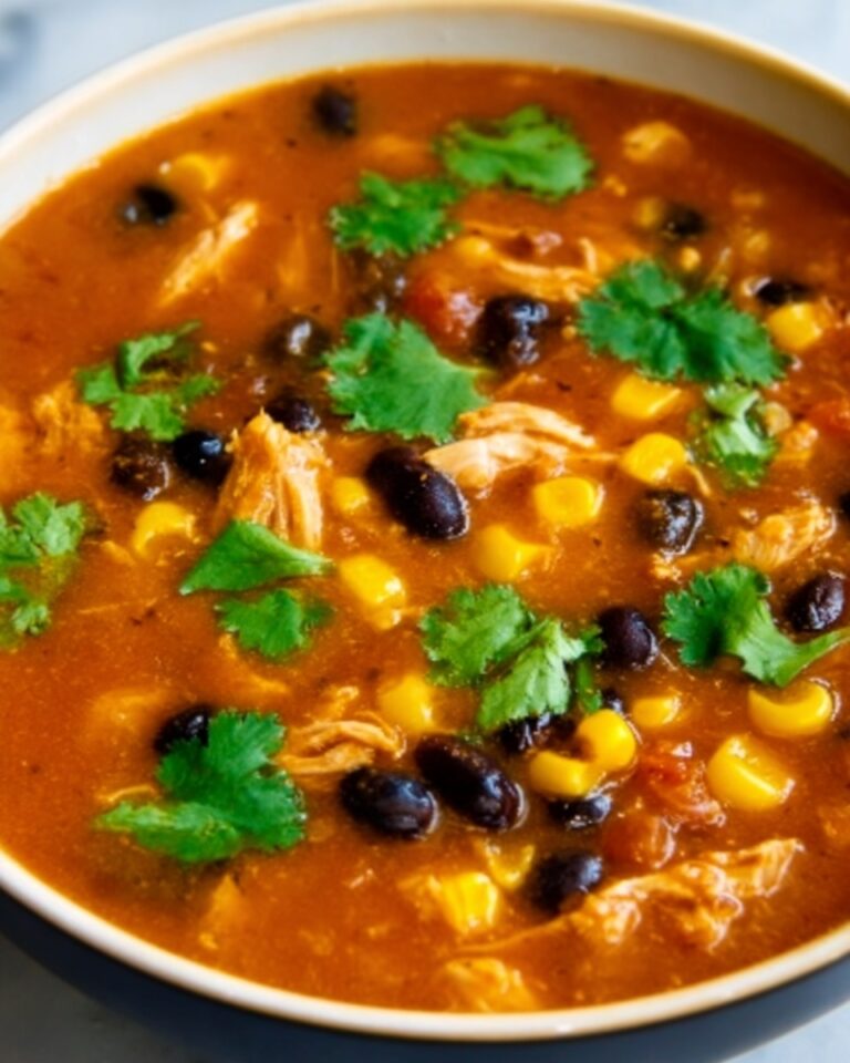 Southwest Black Bean Chicken Tortilla Soup Recipe