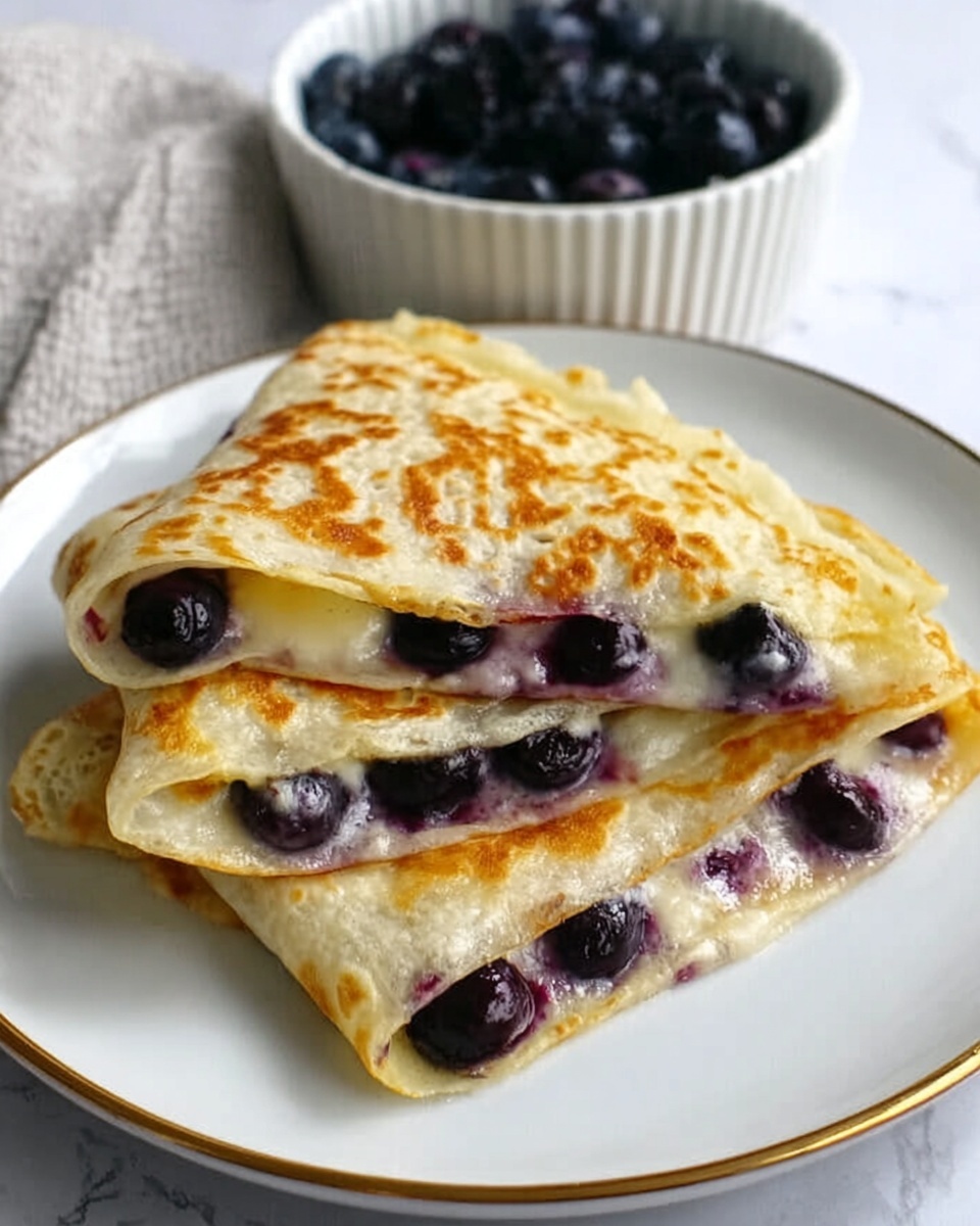 Blueberry Breakfast Quesadilla Recipe - Recipe Image