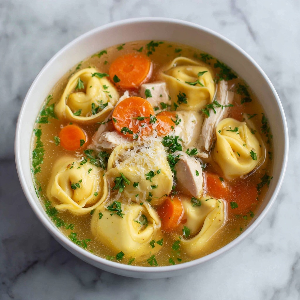 Easy Tortellini Soup with Chicken Broth Recipe - Recipe Image